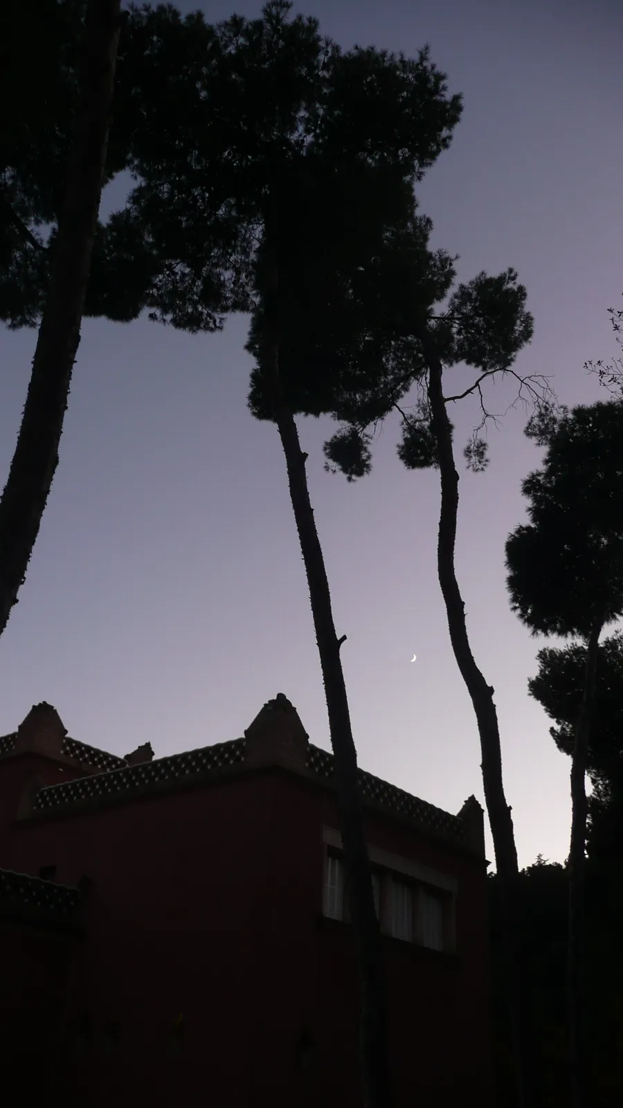 Barcelona — Urban landscapes, photograph by Esther Piaskowski