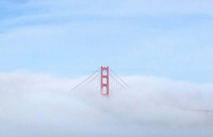 The top of the Golden Gate Bridge rising out of a bank of fog under a blue sky, photograph by Esther Piaskowski